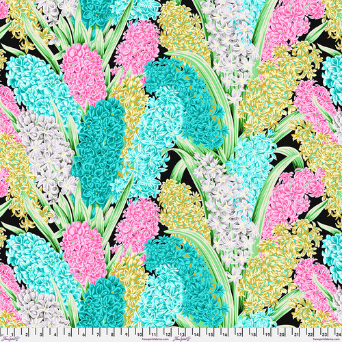 Hyacinthus - Contrast || August 2023 Hyacinthus - Contrast || August 2023