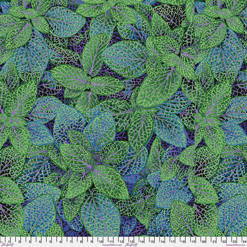 August 2024 | Kaffe Fassett Collective | FreeSpirit Fabrics