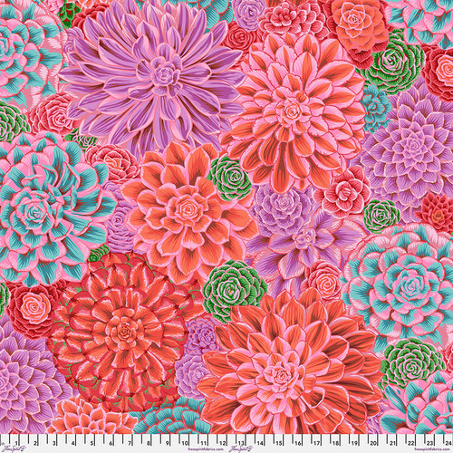 House Leeks - Pink || February 2025 House Leeks - Pink || February 2025