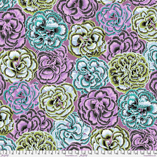 Picotee Carnations - Contrast || August 2025 Picotee Carnations - Contrast || August 2025
