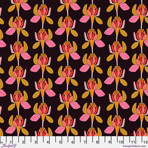 Protea Majestica - Licorice || Springtime Splendour