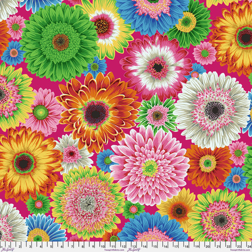 Gerbera Daisies - Bright || August 2026