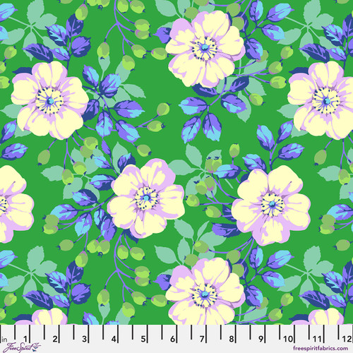 Shrub Rose - Green || February 2027