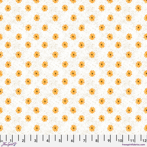 Daisies - White || Forest Song