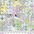 Elderberry - Multi|| Spring Garden