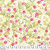 City Roses - Lemon || Florecer