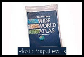 Reclosable Bags 6 mil  9X12X006 500/CTN  #3830A  Item No./SKU