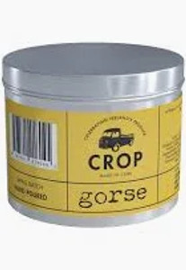 Crop Candle - Gorse - Coconut,Sea salt,Amber