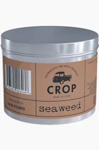 Crop Candle - Seaweed - Sea Salt,Water Lily,Amber