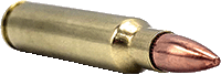 Rifle Ammo