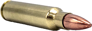 .223 55gr FMJ