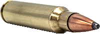 .223 55gr