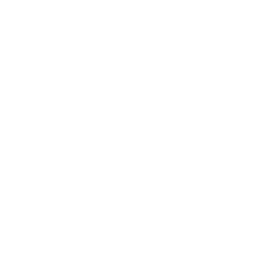 AngelFire Ammunition