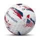 TaylorMade SpeedSoft Ink Golf Balls - USA