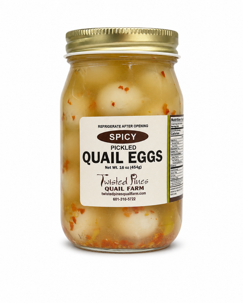 Pickled Spicy Quail Eggs