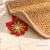 Feng shui Coins for Front Door