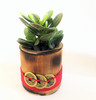 Feng Shui Money Plant