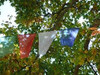 Feng Shui Wind Horse Flags