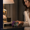 Woman placing the 9-Tailed Fox Figure on a nightstand