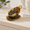 Feng Shui Money Toad