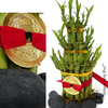 Lucky Bamboo -3 Tier - 13" Tall