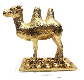 Two-Humped Camel to help Secure your Cash Flow and Stability