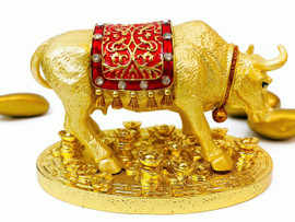 Feng Shui Item for Wealth