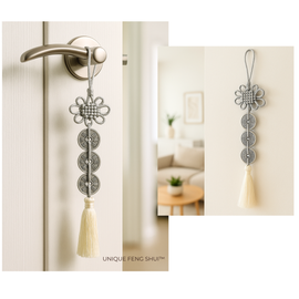 feng shui silver coins on door
