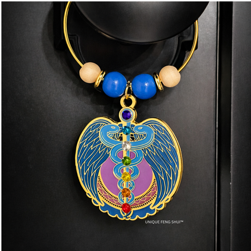 Life Force Healing Door Hanger