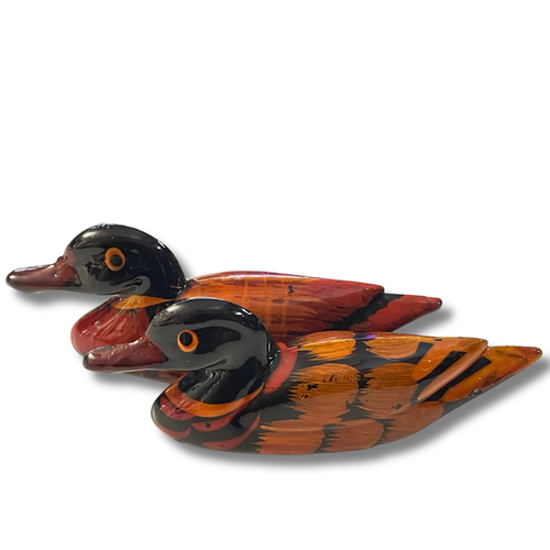 Mandarin Ducks Couple 
