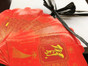 Feng Shui Red Envelopes