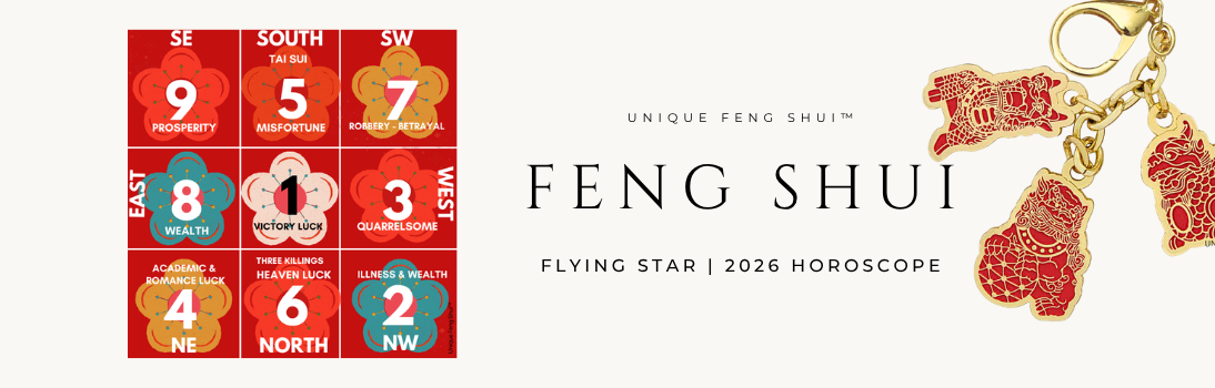 feng shui 2026 cures placement