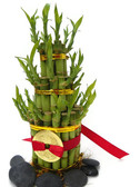 Lucky Bamboo 5 Tier