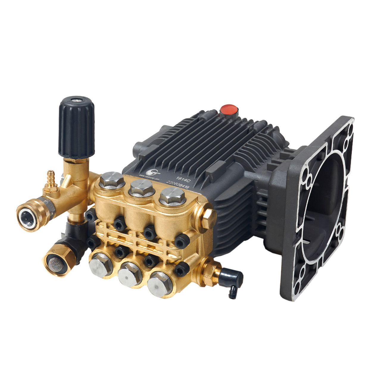 Canpump CE 1550 E: 2000 psi @ 5.3 US gpm, 1-1/8-in Shaft Pressure