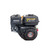Canpump Soft Wash System: 580 psi @ 13.5 US gpm Bertolini Pump, 200 cc Engine
