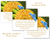 3 Marigold Scripture Cards