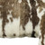 Set of Two 12" X 20" Brown and White Rabbit Natural Fur Throw Pillow N270-473925
