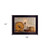 The Plans I Have For You 1 Black Framed Print Wall Art N270-415241