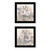 Set Of Two Transitional Blooms 3 Black Framed Print Wall Art N270-407267