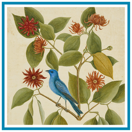 21FALL Natural History Illustration SUN 2:00PM (10/3-11/21) 21FALL Natural History Illustration SUN 2:00PM (10/3-11/21)