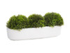 Moss Planter-15 inch