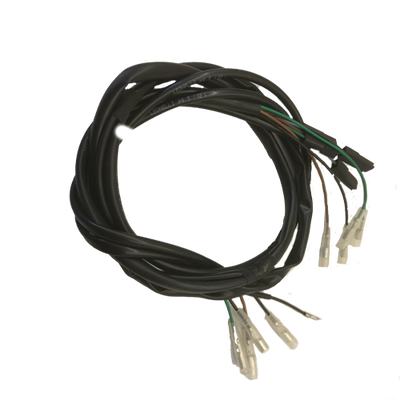 Gas Gas EC250 4T, 2010, Wiring Loom, Genuine, NOS