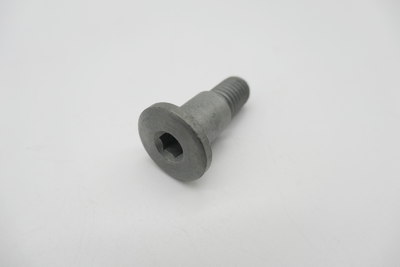 Gas Gas EC, Side Stand Fixing Screw, Genuine, NOS, BE142203013