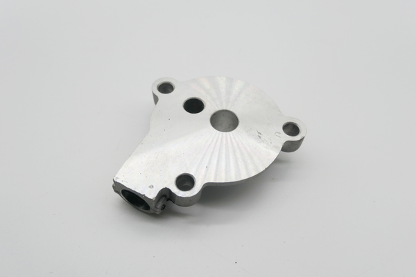 Gas Gas Cami, AJP PR5, Oil Pump Cover