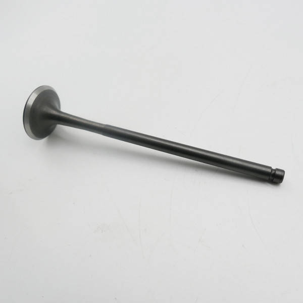 Gas Gas Cami, AJP PR5, Exhaust Valve Pair, 15702ME300000