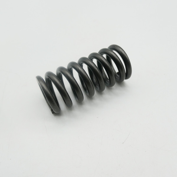 Gas Gas Cami AJP PR5 Outer Valve Spring