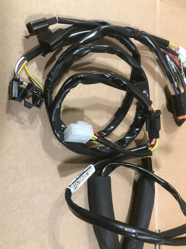Gas Gas EC Wiring Loom Lite, Genuine, NOS, EE10000RP-CAW-1