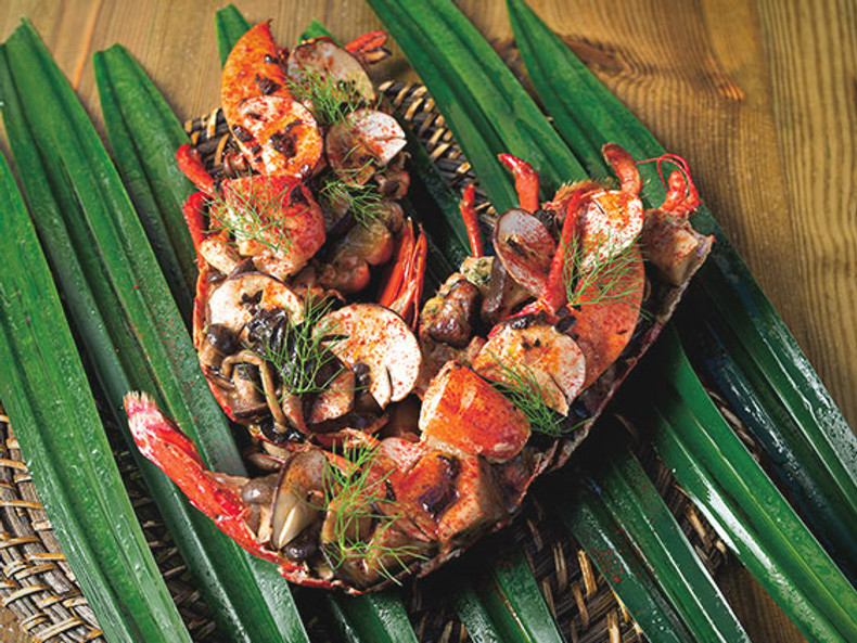  Lobster
