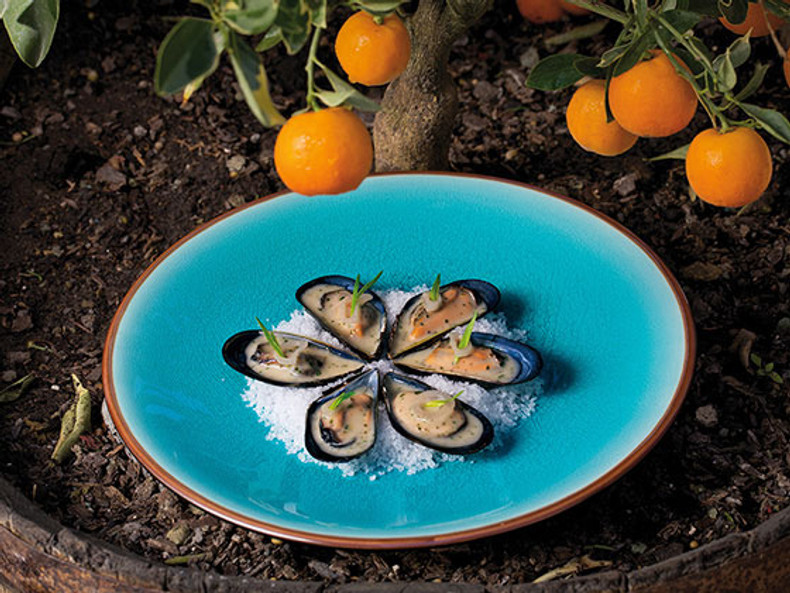 Mussels