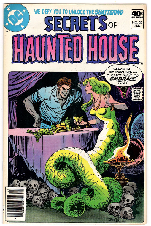 Secrets of Haunted House #20 - 1980 Bronze Horror DC Comics - Destiny Stories - Joe Orlando Cover- High Grade Raw Copy
